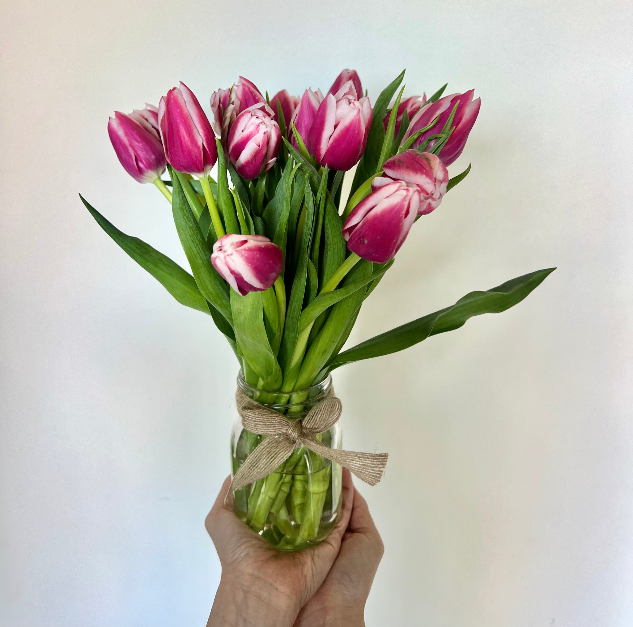 Tulips Mother's Day Arrangement